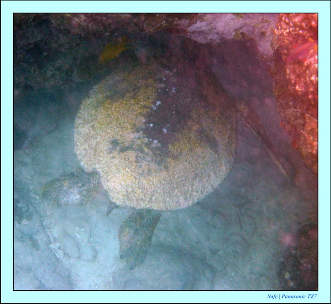 2009   07   Matakin 03